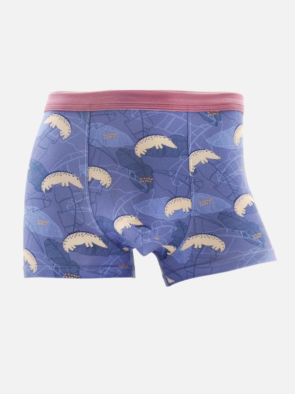 Men's Random Color Cartoon Animal Leaf Print Boxer Brief, Casual Comfy Breathable Underwear for Daily Wear, Mens Underwear for All Seasons