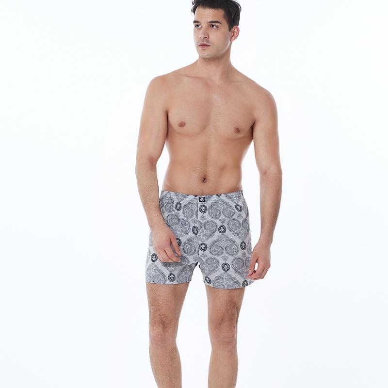 Men's Boxers Underwear 100% Cotton Printed Woven Boxers for Men Pack Boxer Shorts Men's Tagless