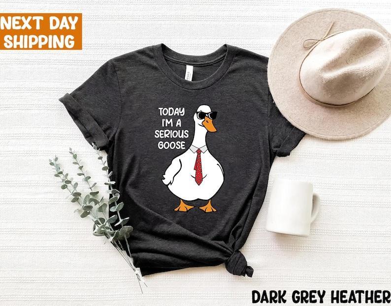 Today I'm A Serious Goose Sweatshirt, Silly Goose Sweatshirt, Funny Men's Women's Sweater, Trendy College Hoodie Classic Crewneck, Full Sizes, Full Colors, Gift For Him, Gift For Her