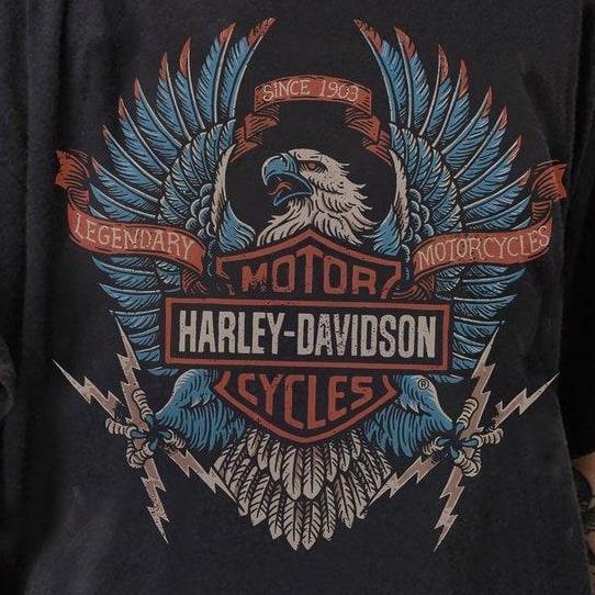 Limited Harley Davidson Electric Eagle Vintage, Unisex T-Shirt For Men, For Women